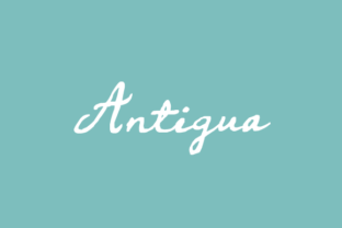 Antigua Family: A Designer’s Honest Review