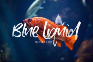 Blue Liquid Font: A Designer’s Guide to Script Amp