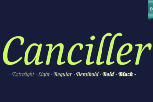Canciller Family: A Web Designer’s Review