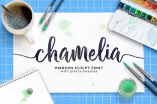 Chamelia: A Handwritten Font for Editorial Design
