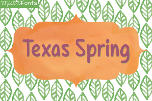 Texas Spring: A Versatile Script Font for Branding
